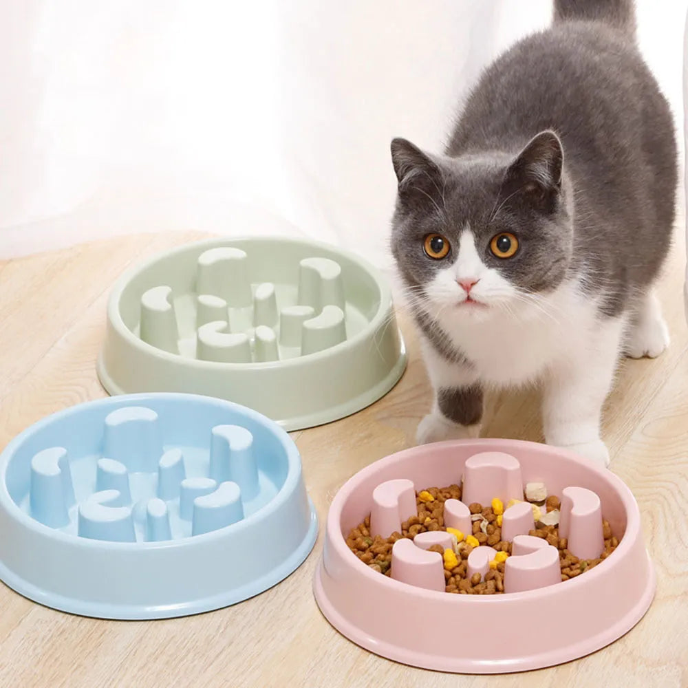 Pet Slow Feeder