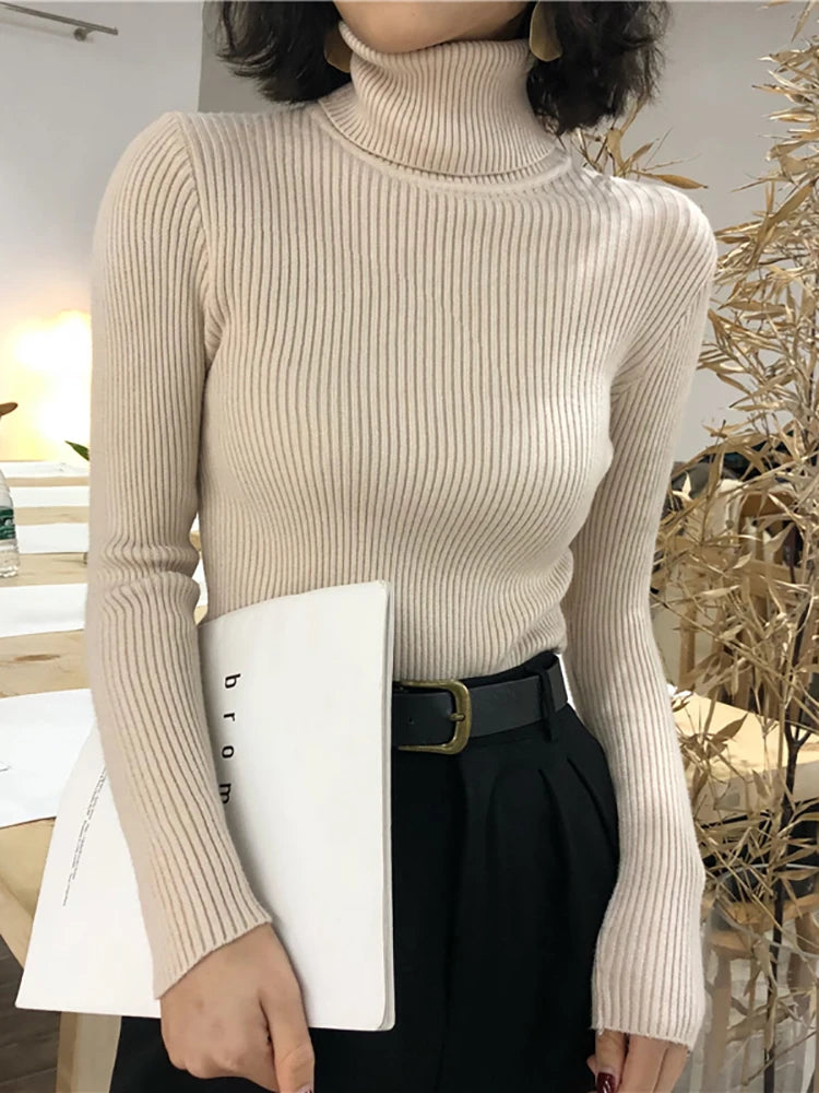 Women Turtleneck Sweater