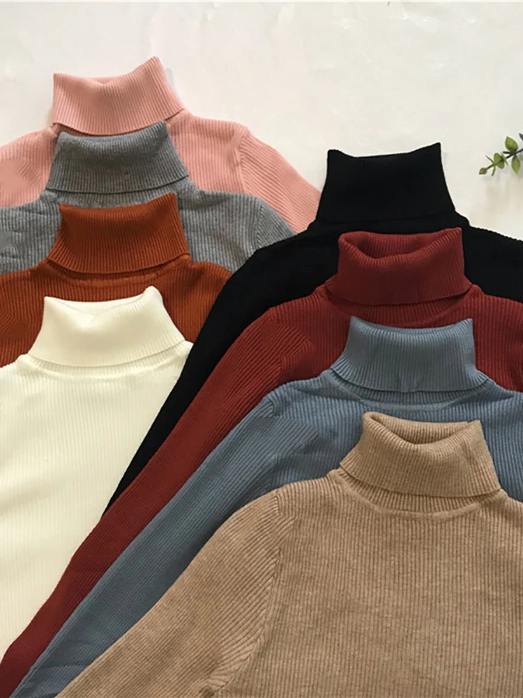 Women Turtleneck Sweater