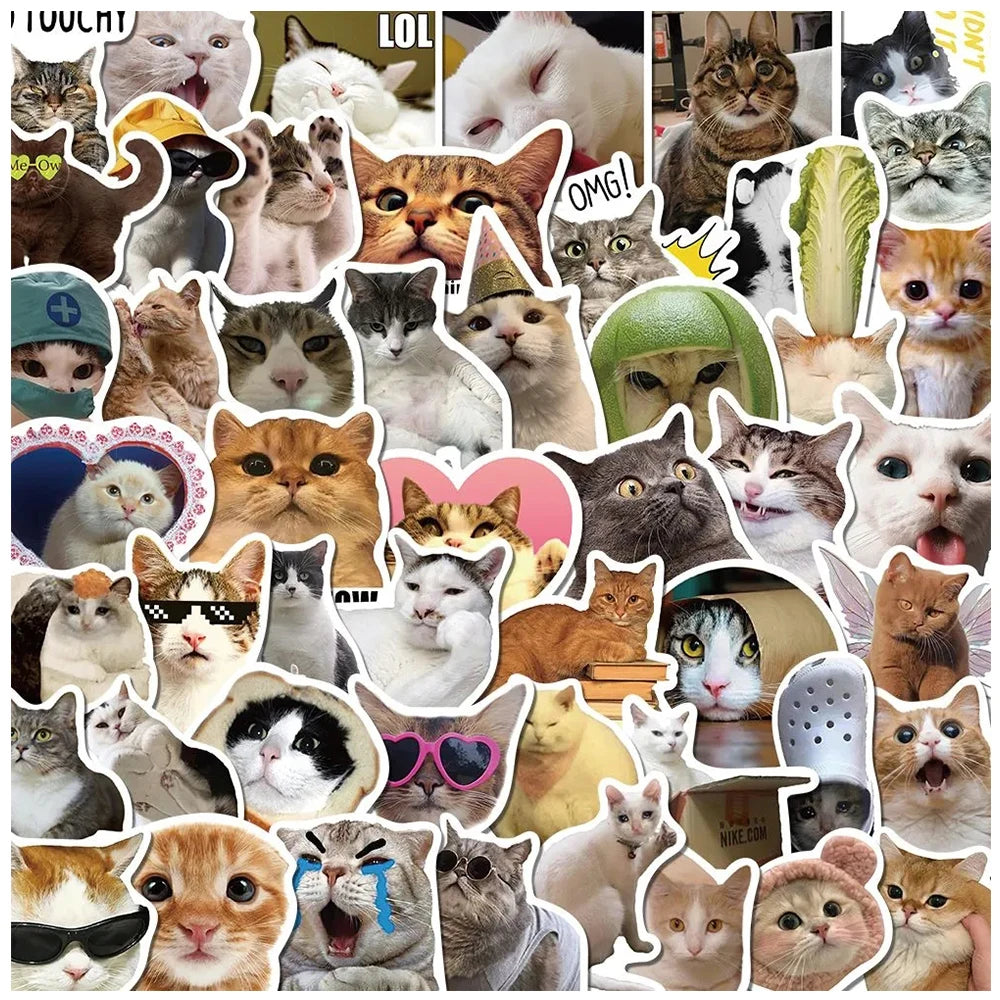 Funny Meme Cat Stickers
