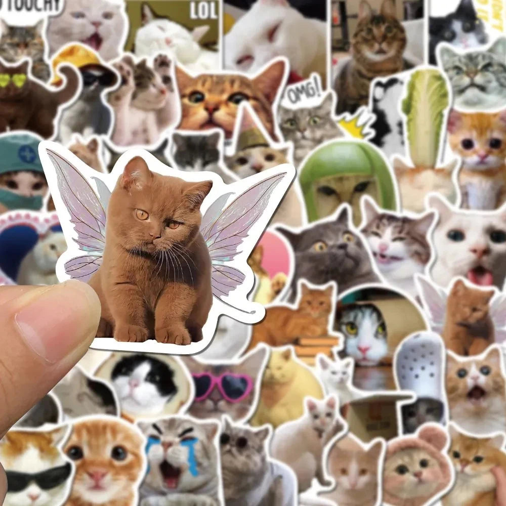 Funny Meme Cat Stickers