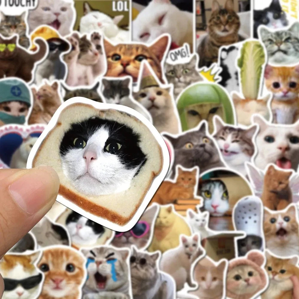 Funny Meme Cat Stickers
