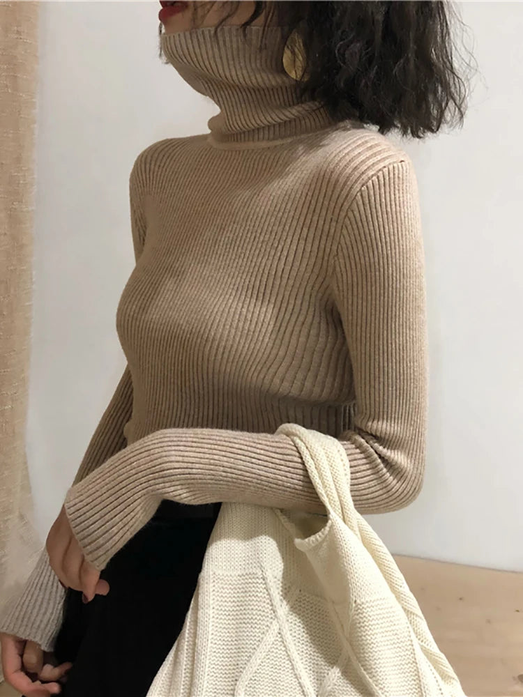 Women Turtleneck Sweater