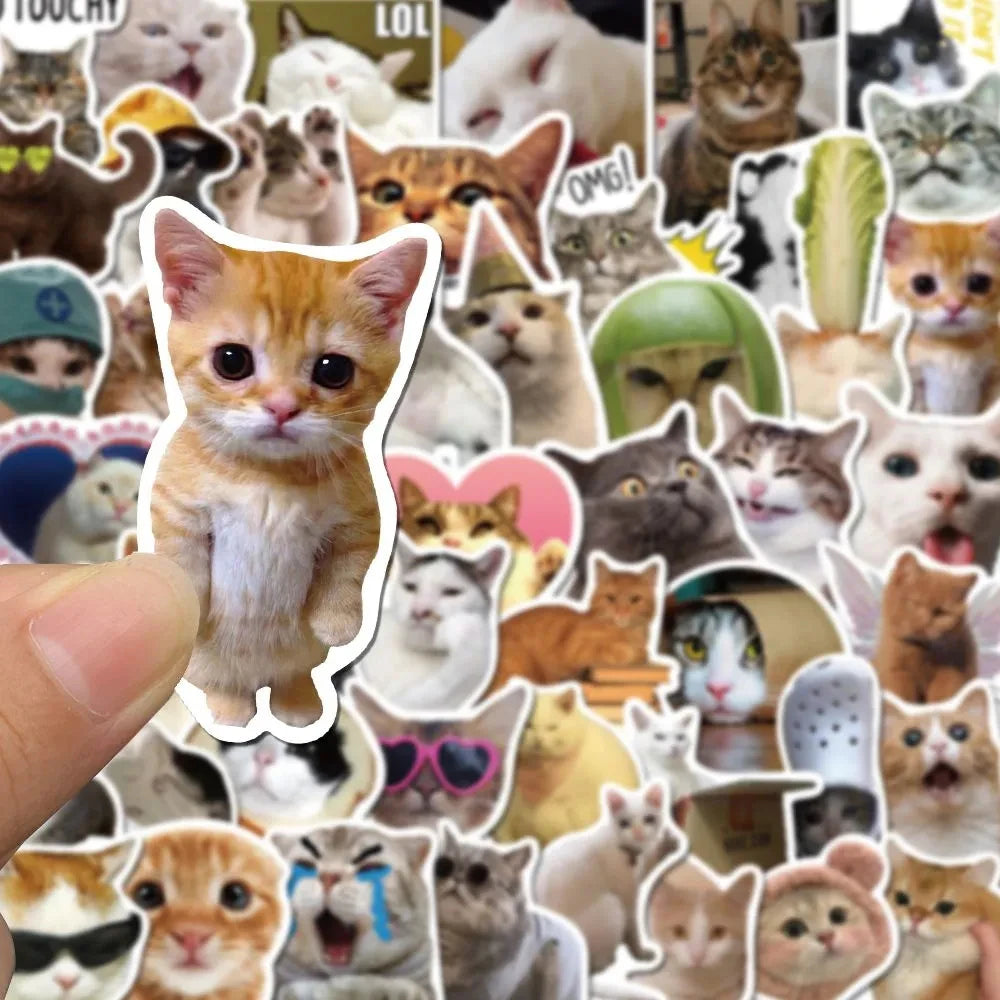 Funny Meme Cat Stickers