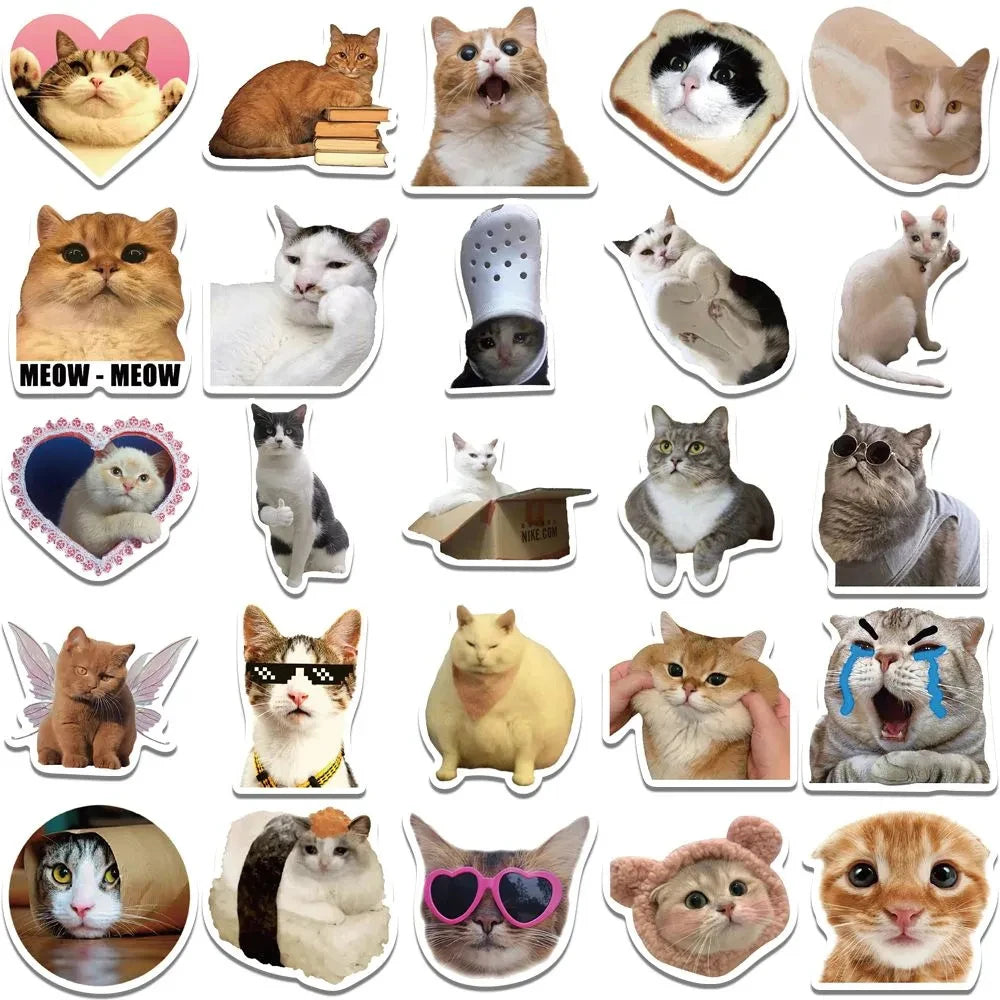 Funny Meme Cat Stickers