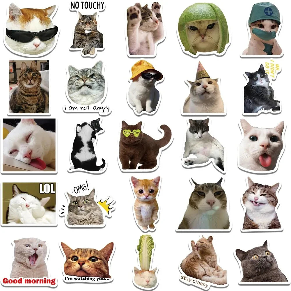 Funny Meme Cat Stickers