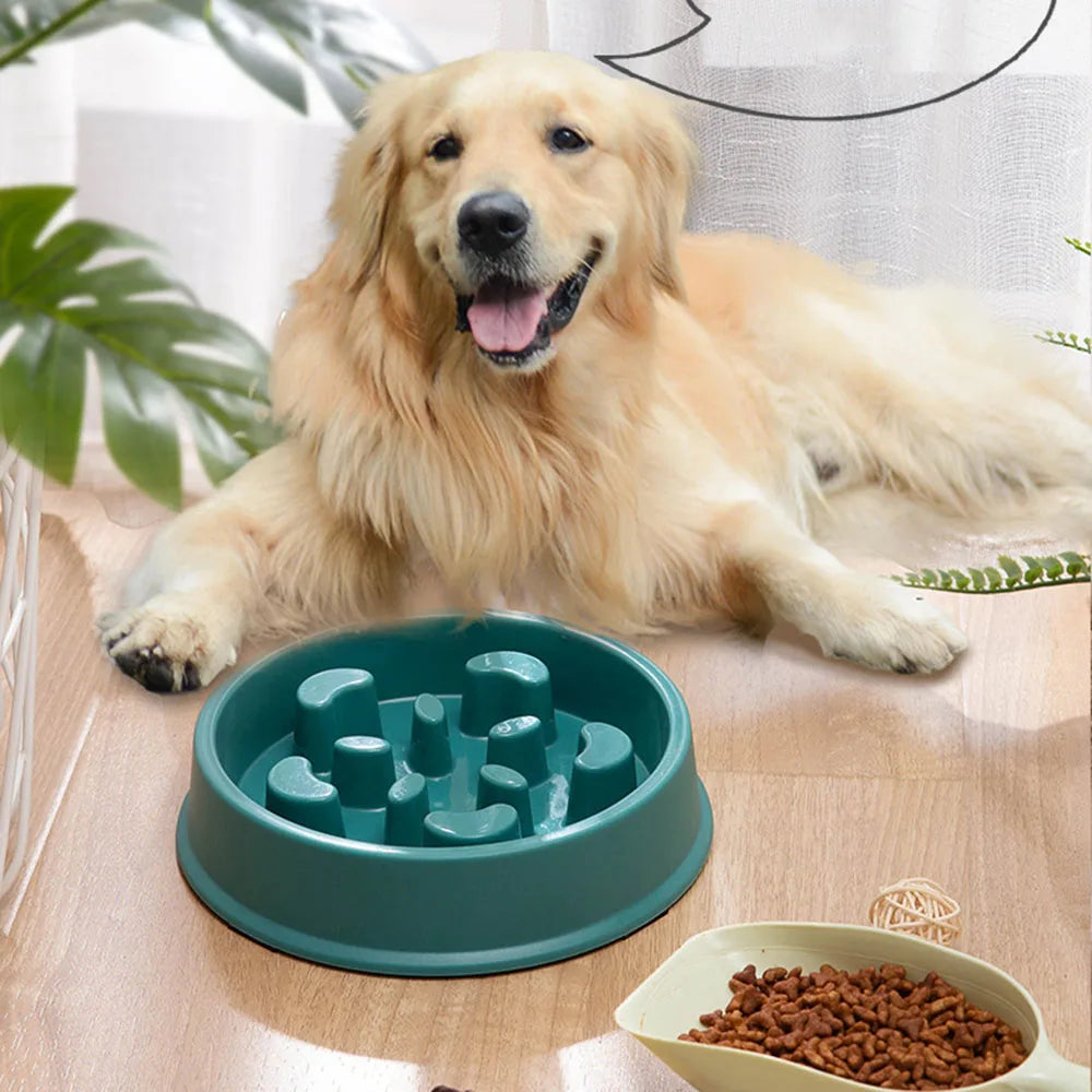 Pet Slow Feeder