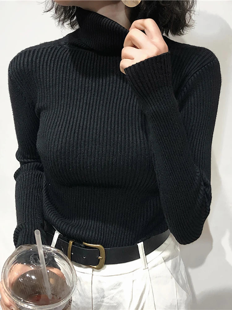 Women Turtleneck Sweater